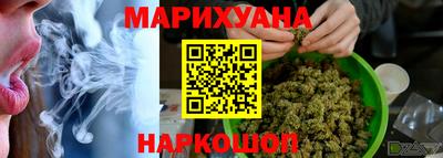 apvp Камышлов