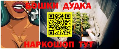 apvp Камышлов