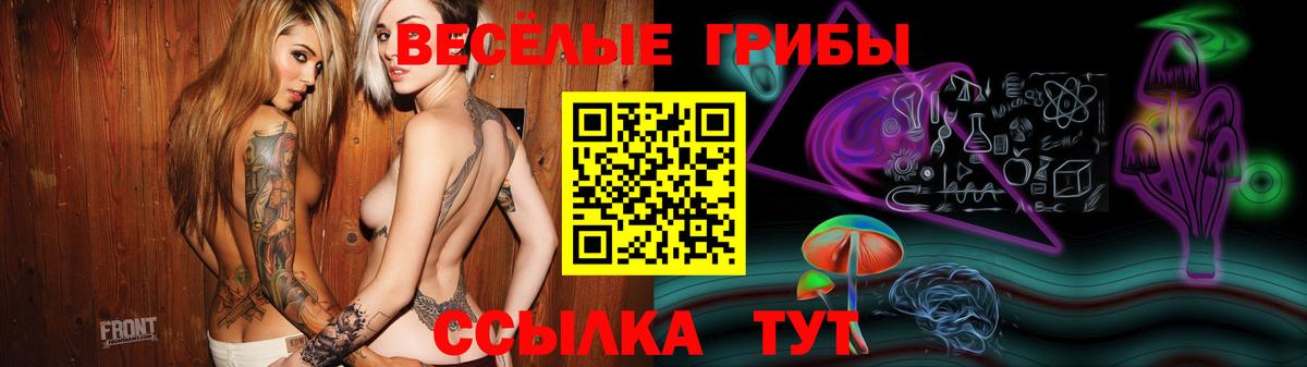 Корсаков  Галлюциногенные грибы Magic Shrooms  Галлюциногенные грибы Psilocybe  Вход с VPN 